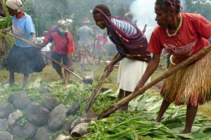 Rolling the stones: Yonggime village women and men place hot stones on a pit covered by grass and leaves to prepare their earth oven.