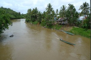 Waterways: A long boat glides along the Sekatak River in Bulungan regency. River passage is the main transportation choice in North Kalimantan, as the new province still lacks good roads. JP/Prodita Sabarini